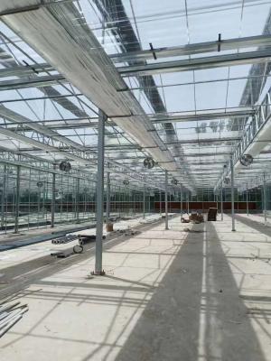 China Modern Rectangular Glass Greenhouse With Durability And Uv Protection for sale