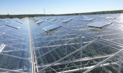 中国 High Durability Rectangular Glass Greenhouse Transparent Design Easy Installation Wind Resistance 販売のため