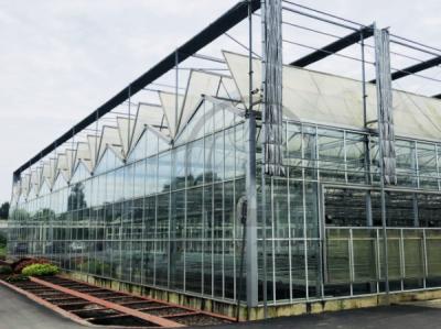China Invernadero de vidrio rectangular con durabilidad, resistencia al viento, protección UV en venta