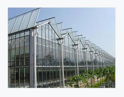 China Rectangular Transparent Glass Greenhouse High Durability Wind-Resistant Low Maintenance for sale