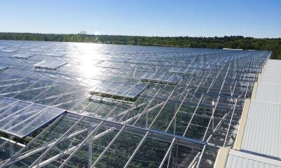 中国 Rectangular Glass Covered Greenhouse with High Durability Easy Installation Weather Resistant 販売のため