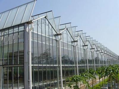 China Invernadero de vidrio rectangular Resistencia al viento y a la temperatura Fácil instalación Muy duradero en venta