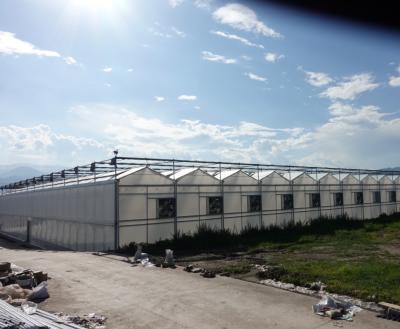 China Saw Tooth Type PE Film Greenhouse Width 6m 8m 9m 10m 12m for sale