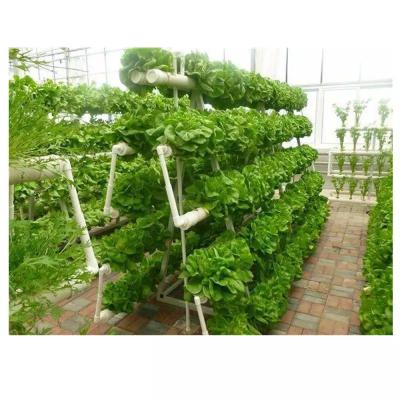 China Sistema hidropónico Torre de jardín interior con iluminación LED / fluorescente / HID en venta