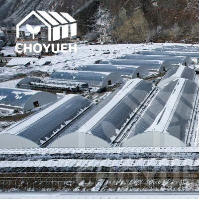 China OEM ODM Commercial Solar Greenhouse High Rain Resistance for sale
