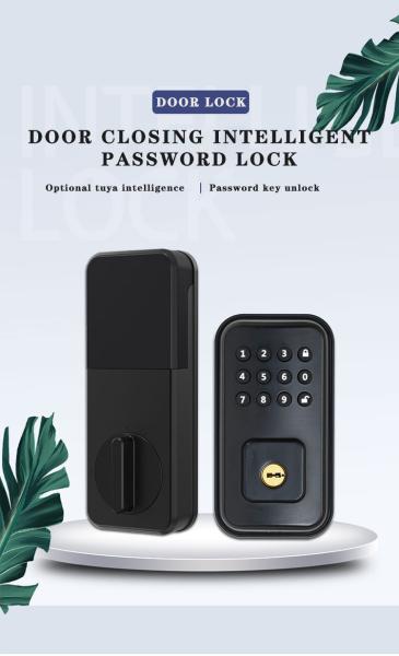 Quality Secure Your Door with Battery-Powered Digital Smart Lock and TTlock Tuya WiFi for sale