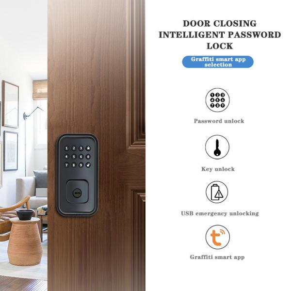 Quality Secure Your Door with Battery-Powered Digital Smart Lock and TTlock Tuya WiFi for sale