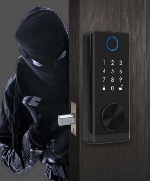 Quality Cerradura Inteligente Digital Lock Keyless Password Fingerprint Swipe Card Key for sale