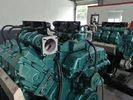 China 260KW Biogas Engine Generator Deutz V6 Natural Gas Electric Generator for sale