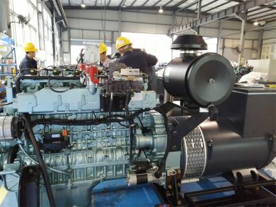 China CHP industrial del generador del gas natural de 250KW Steyr T12 combinó calor y poder en venta