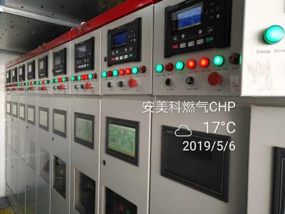 China Biogas Cogeneration Combined Heat And Power 50kw 5000kW for sale