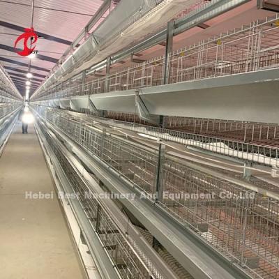China Hot Dip Galvanized Poultry Cage System White Layer Farm Bird Housing Adela en venta