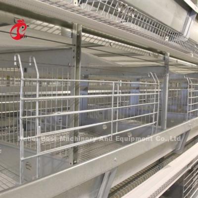 China Chicken 12 Cells Layer Battery Cage System 4 Tier For Farm Adela Te koop