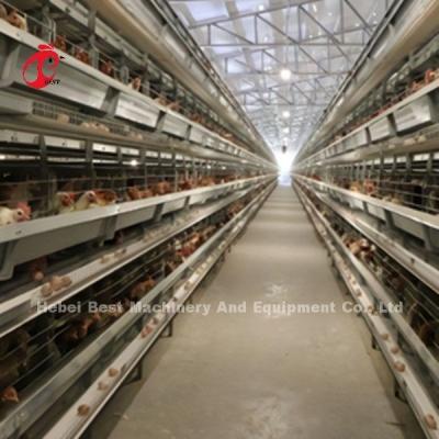Chine Un H dactylographient à système complètement automatique de cage de batterie du poulet 5tiers 25 ans d'étoile de durée de vie à vendre