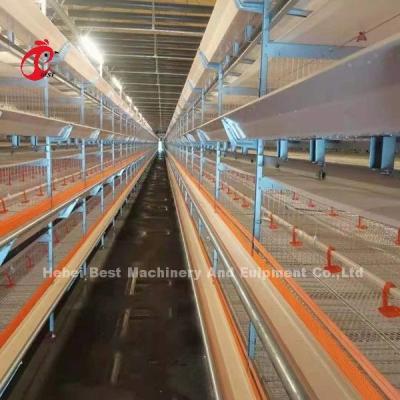 China Las mejores gradas galvanizadas del huevo 3 acodan el sistema de la jaula de batería en la granja Mia de Kenia en venta