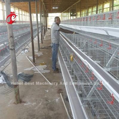 China Layer Farming Use 2 Tier Battery Cage Poultry House Hot Dip Galvanized Sandy for sale