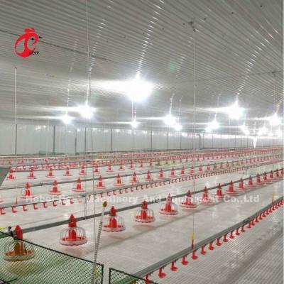 China Stainless Steel Floor Type Poultry Farm Equipment Automatic Feeding And Drinking System Adela for sale