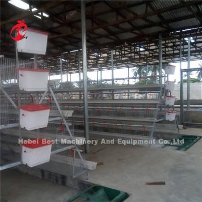 China Automatic 380v Manure Removal Equipment Poultry Chicken House Floor Scraper Ada for sale