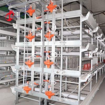 Китай Automatic Manure Removal Machine Manure Processing System 1row In Poultry Farm Mia продается