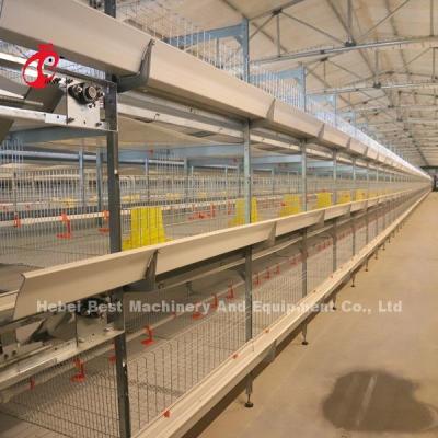China 45 Days A H Type Broiler Cage 25 Years Lifespan With Drinkers And Feeders Star for sale