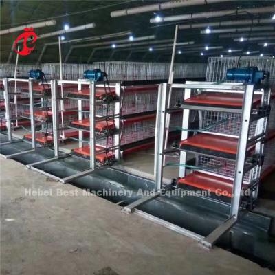 Chine Type ADA galvanisé de la cage H de poulet à rôtir de 3 rangées et de 4 rangées de couveuse d'immersion chaude à vendre
