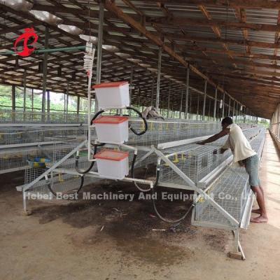 China CE A Type 120 Birds Chick Rearing Cage With Drinkers And Feeders Star à venda