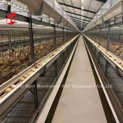 China A And H Poultry Broiler Cage Raising Equipment For Day Old Chicks Sandy for sale