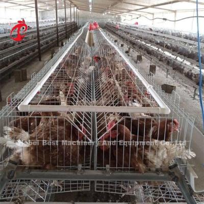 China Rearing Cage Poultry Farm Brooder Breeding Equipment Sandy for sale