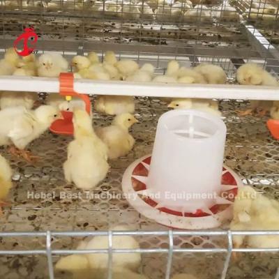 China A Type Broiler Chicken Cage And Farm Poultry House Building Design Mia for sale