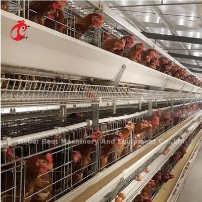 China Fully Automatic 100 Chickens Poultry Battery Cage System H Type Hot Galvanized Adela for sale