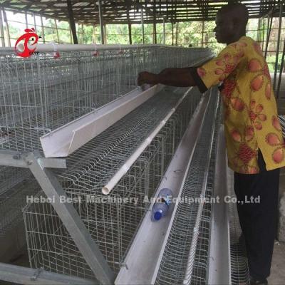 China Deluxe 120 Birds Poultry Battery Cage System 5 Cells Galvanized Doris à venda