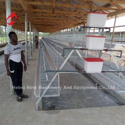 China 120 Birds Poultry Battery Cage Hot Galvanized With 4 Doors Use In 10000 Birds Farm Mia for sale