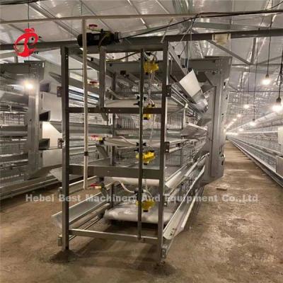 China Granja diseño H tipo avicultura sistema de jaula de pollos de engorde galvanizado en caliente Ada en venta