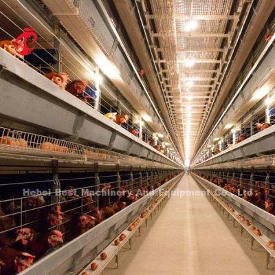 Κίνα Σύστημα κλωβού μπαταριών τύπου H Poultry Farming Full Automatic Star προς πώληση