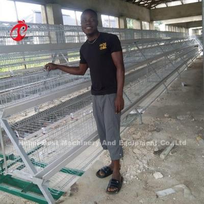 China Projeto de sistema de gaiola para criação de aves tipo A ou H para galinheiro Sandy à venda