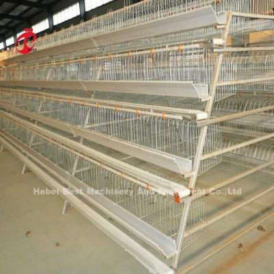 中国 2.8mm-3.5mm Cage Wire Diameter Poultry Farming Cage System for High Rearing Efficiency Adela 販売のため