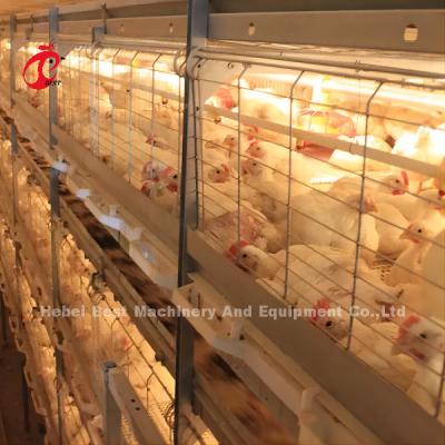 China Automatic Poultry Egg Chicken Battery Laying Cage A Type Rose for sale