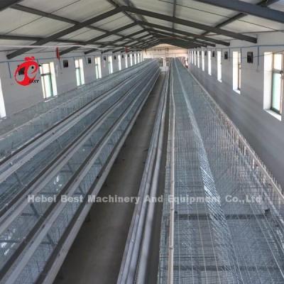 China 20000 Sistema de jaula de cría de pollos para aves utilizado en la puesta de aves en venta