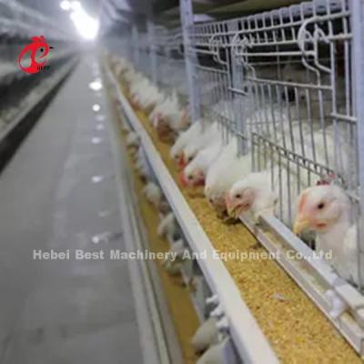 China 96 Birds / 128 Birds Broiler Cage System A Type Or H Type In African Market Iris for sale