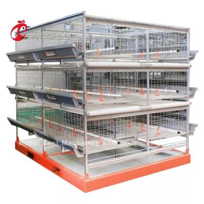 Chine Cage de batterie de poulet galvanisée à chaud pour ferme avicole Mia à vendre