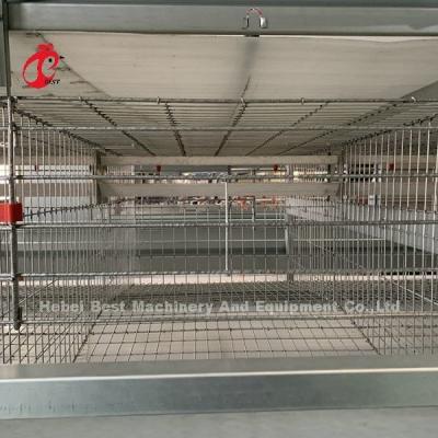 Chine L'équipement de cage de poulet de 4 rangées a adapté des solutions aux besoins du client Adela disponible à vendre