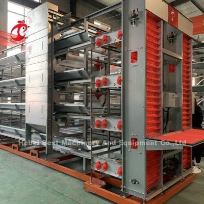China A Or H Type Automatic Chicken Cage Equipment Of Feeding Hopper Egg Collection System For 35,000 Birds Doris for sale