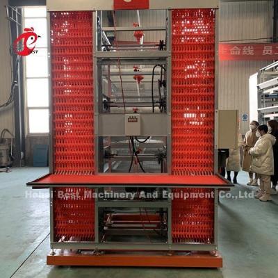China 20 Years Lifespan Layer Poultry Farming Automatic Chicken Cage Equipment For 20,000 Layers Adela for sale