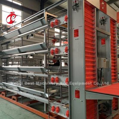 China H y A mecanografían a equipo automático galvanizado caliente de la jaula del pollo la vida útil larga Adela en venta