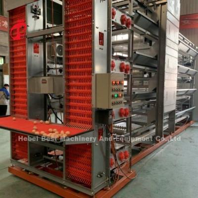 China Automatic Chicken Cage Equipment Of H Frame 4 Tier Rearing Layer Cage For 50,000 Farm Doris Shi for sale