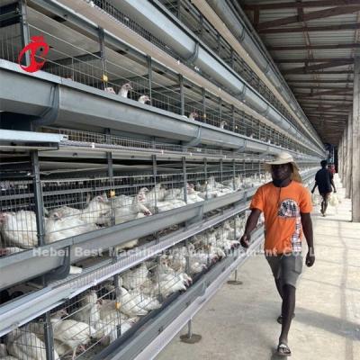 China H Type Full Hot Dip Galvanized Automatic Chicken Cage Equipment For Chicken Farm Sandy for sale