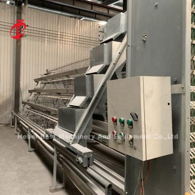 China Factory Price On Professional Fully Automatic Chicken Cage Equipment For Chicken House Iris for sale