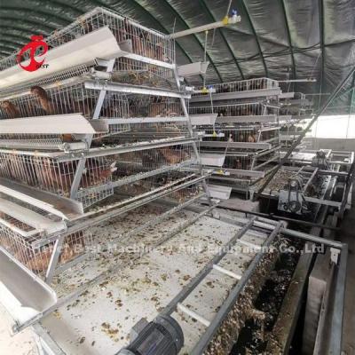 China Automatic Manure Scraper And Belt Type Designed For Chicken Farm Sandy for sale