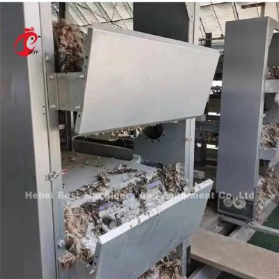 China Ada automático da máquina da remoção do estrume do raspador e da correia da exploração agrícola de galinha das aves domésticas 380V à venda