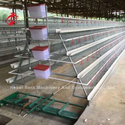 China Full Set Automatic Scraper Manure Removal Equipment Carbon Steel For Chicken House Star for sale